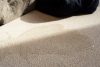 Terrazzo Granitech Pigment Medium - Image 45